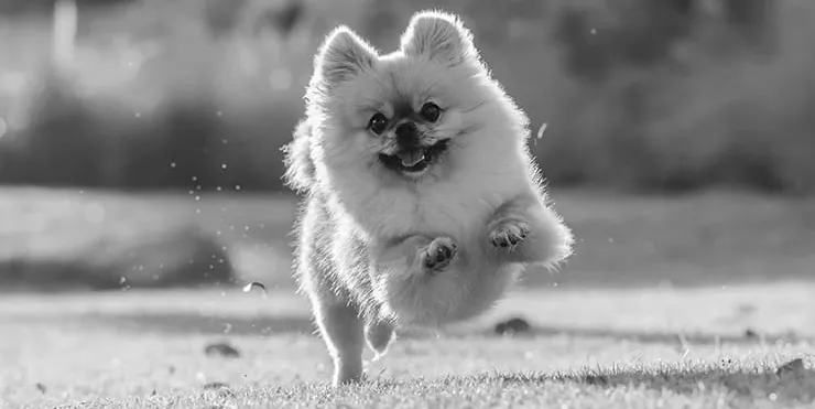 Imagen cabecera post