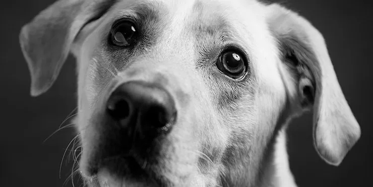 Imagen cabecera post