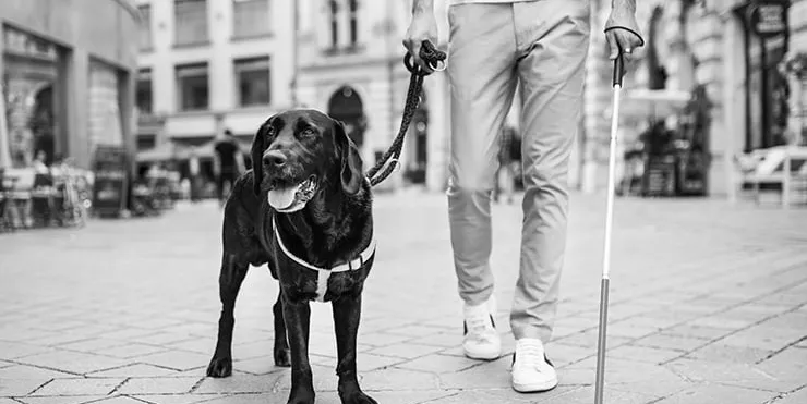 Imagen cabecera post