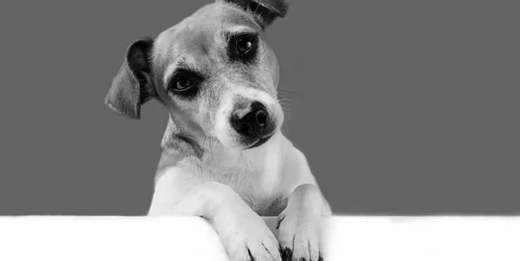 Imagen cabecera post