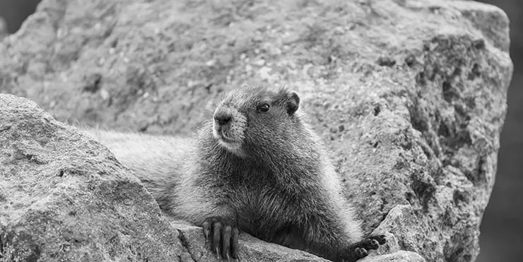 Imagen cabecera post