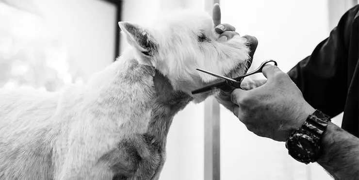 Imagen cabecera post