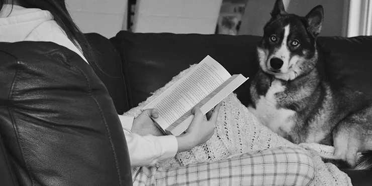 Imagen cabecera post