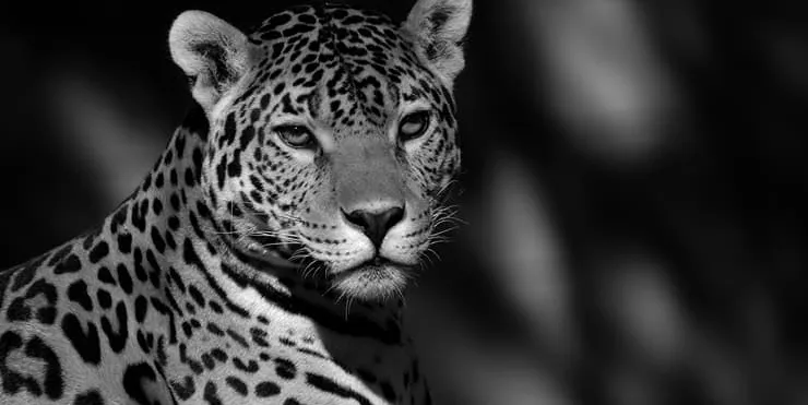 Imagen cabecera post