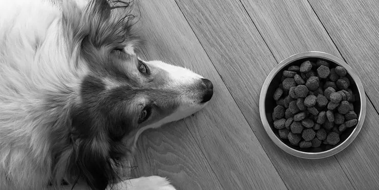 Imagen cabecera post