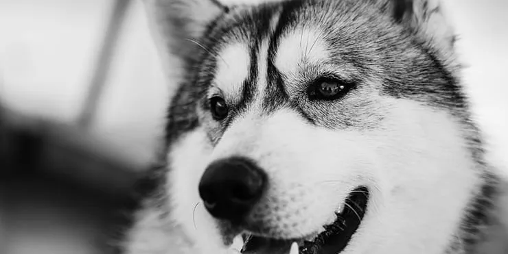 Imagen cabecera post