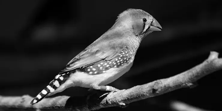 Imagen cabecera post