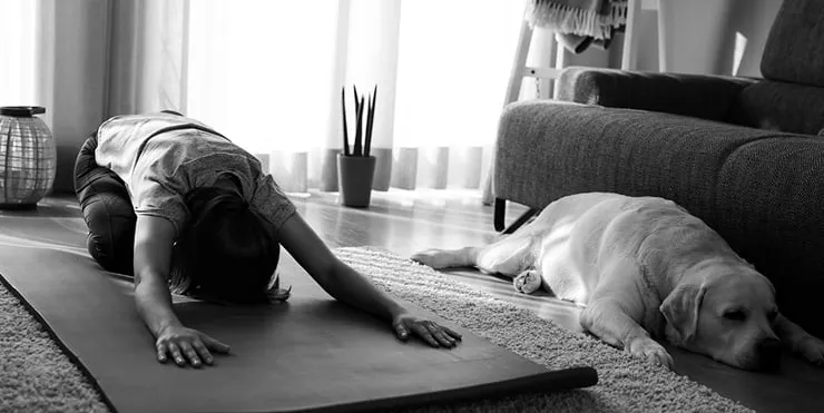 Imagen cabecera post