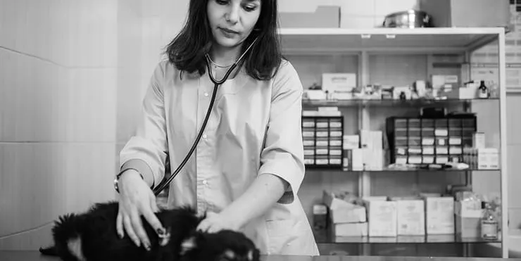 Imagen cabecera post