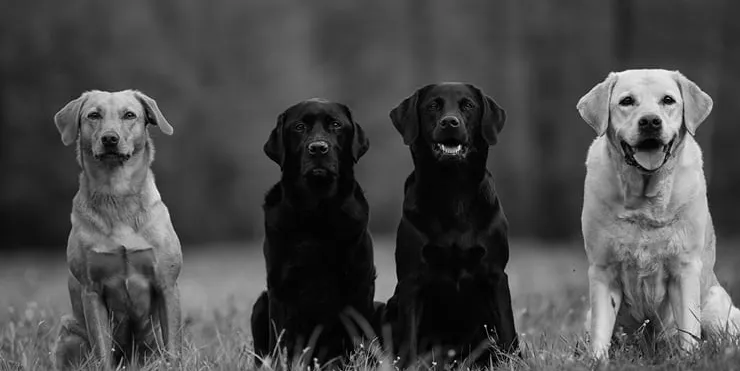 Imagen cabecera post