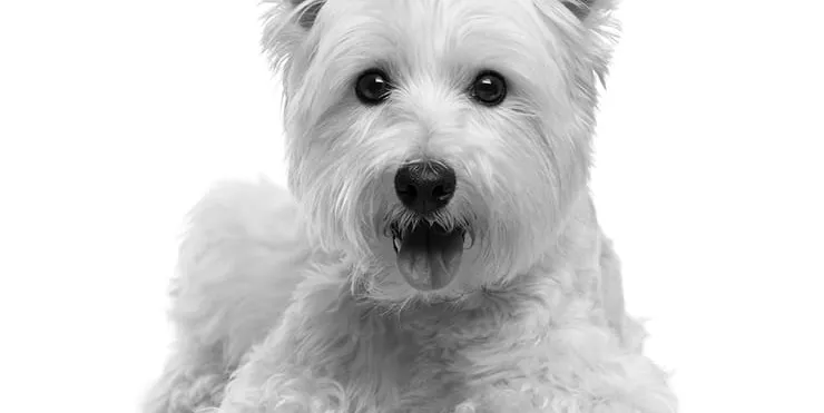 Imagen cabecera post