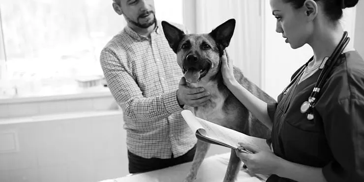 Imagen cabecera post