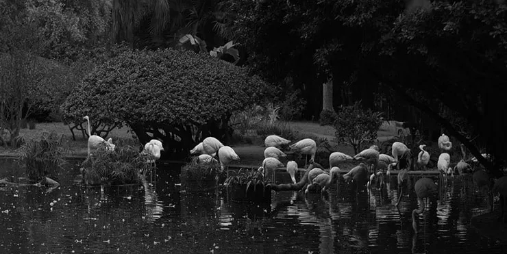 Imagen cabecera post