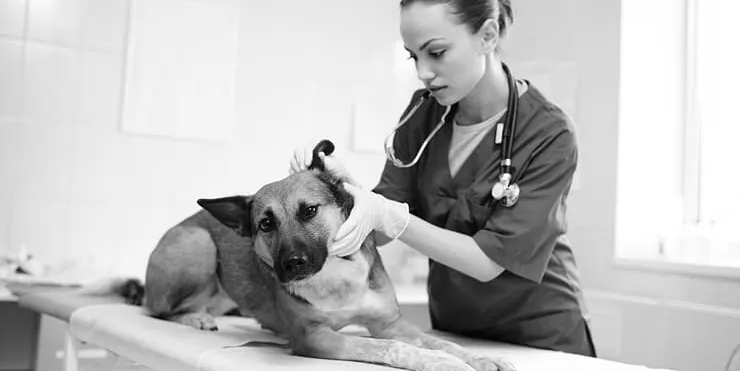 Imagen cabecera post