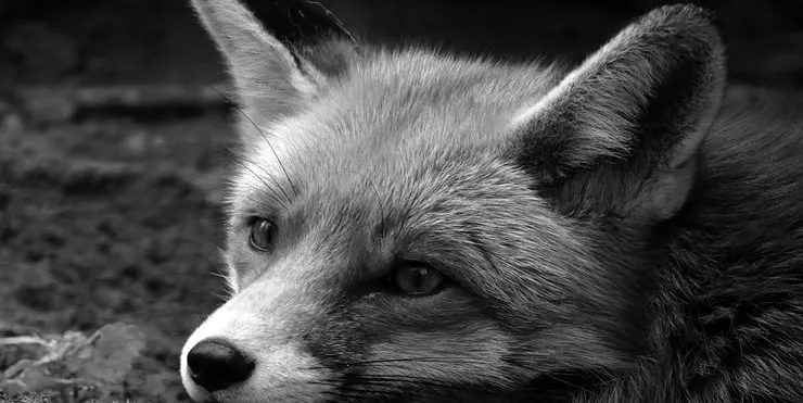 Imagen cabecera post