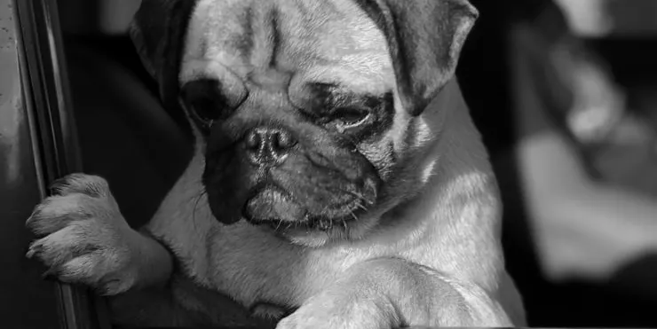 Imagen cabecera post