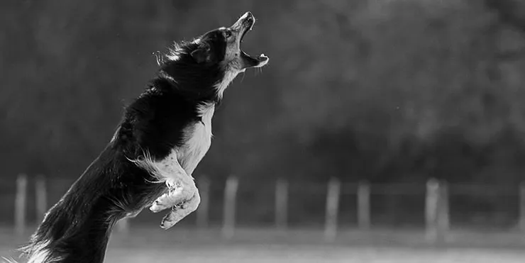 Imagen cabecera post