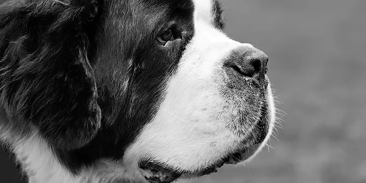 Imagen cabecera post