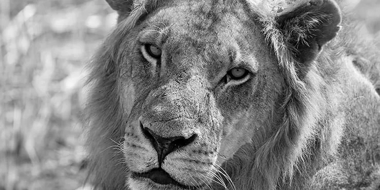 Imagen cabecera post