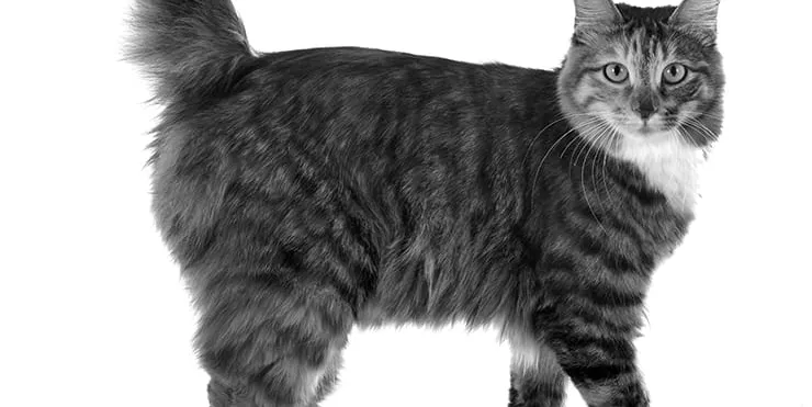 Imagen cabecera post