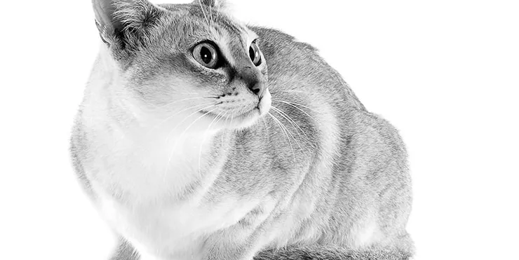 Imagen cabecera post