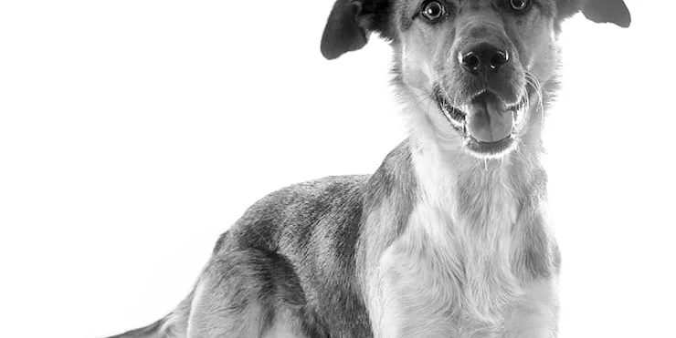 Imagen cabecera post