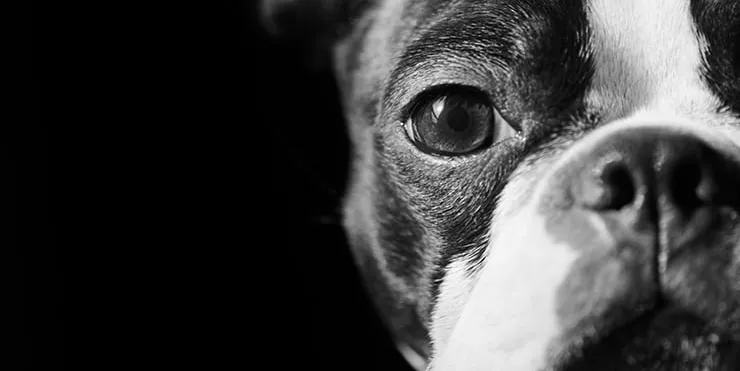 Imagen cabecera post