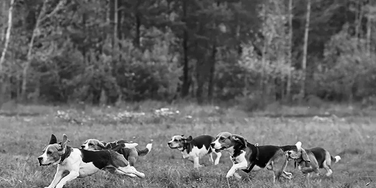 Imagen cabecera post