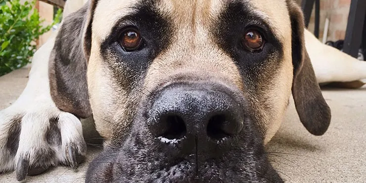 Imagen cabecera post