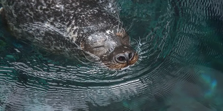 Imagen cabecera post