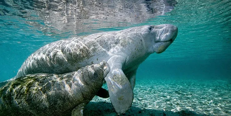 Imagen cabecera post