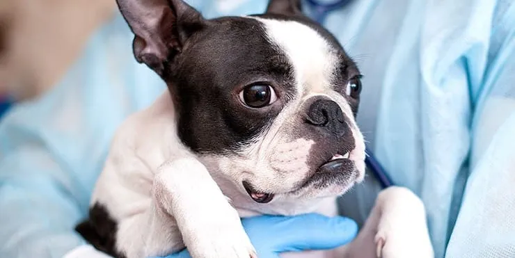 Imagen cabecera post