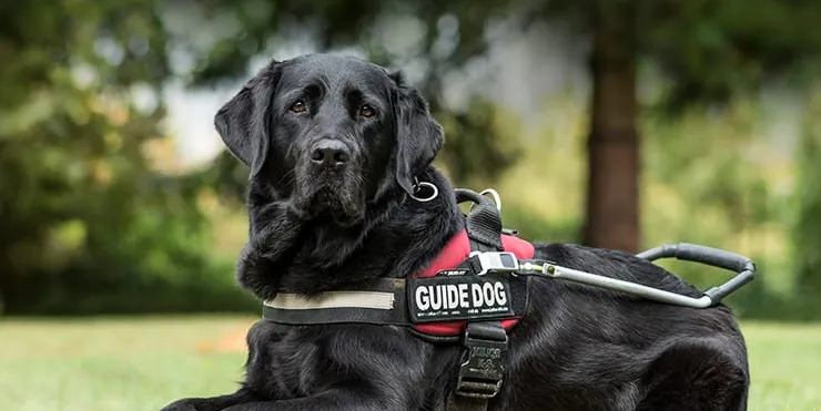 Imagen cabecera post