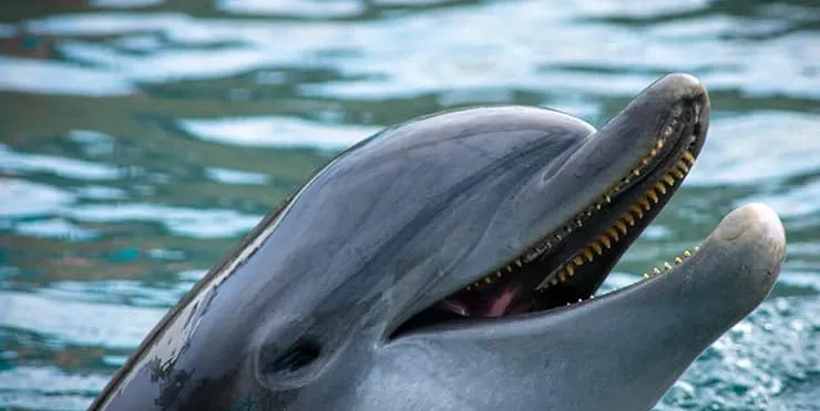 Imagen cabecera post