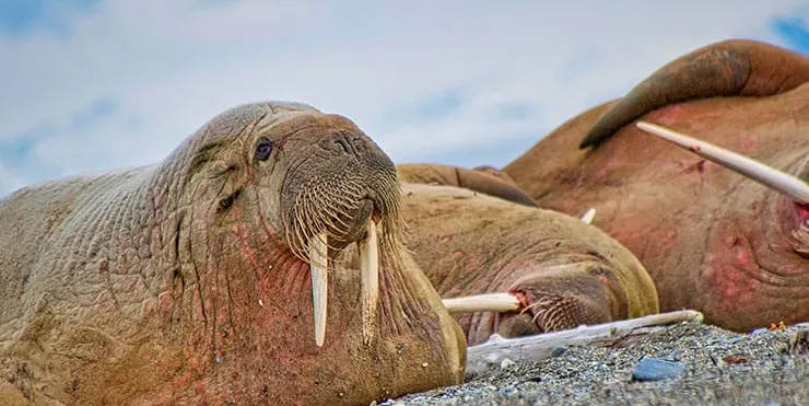 Imagen cabecera post