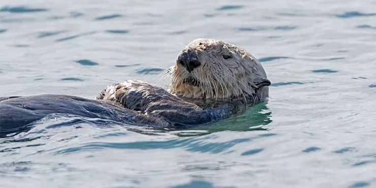 Imagen cabecera post