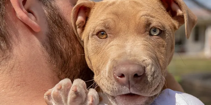 Imagen cabecera post