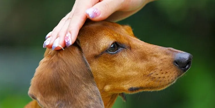 Imagen cabecera post