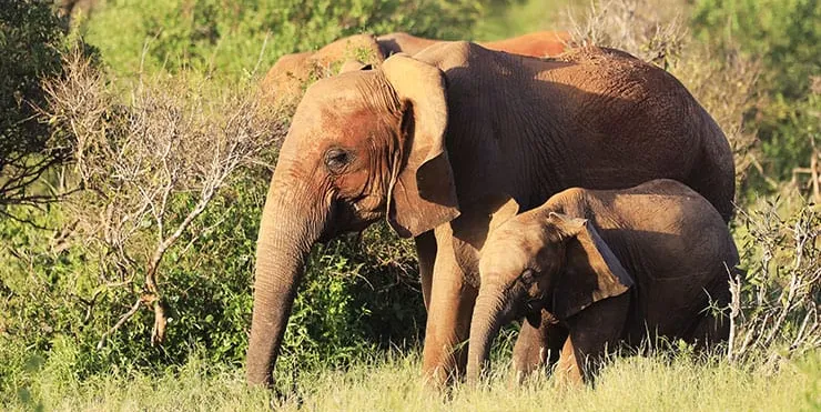 Imagen cabecera post