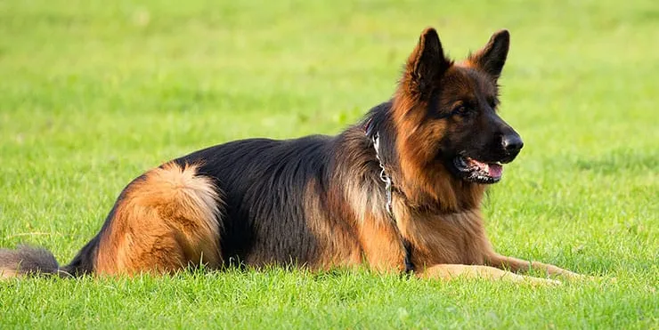 Imagen cabecera post