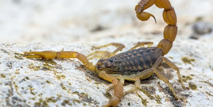 Imagen cabecera post