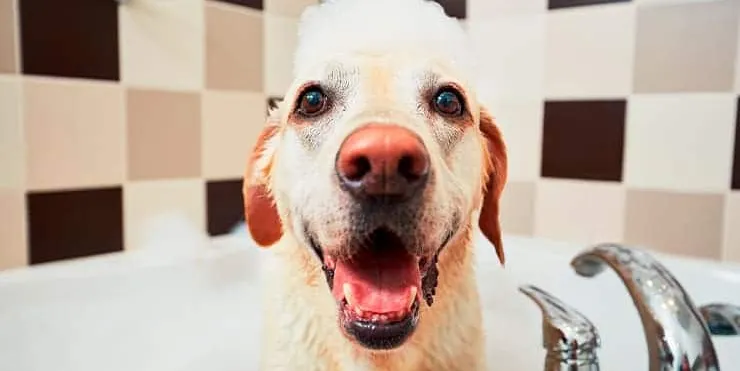 Imagen cabecera post