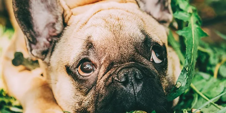 Imagen cabecera post