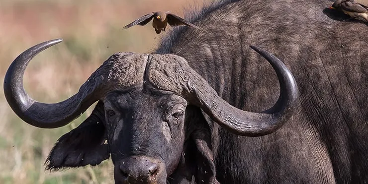 Imagen cabecera post