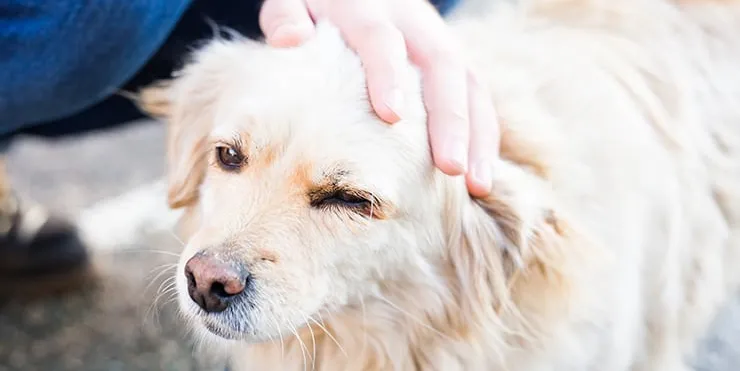 Imagen cabecera post