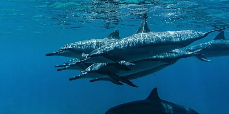 Imagen cabecera post