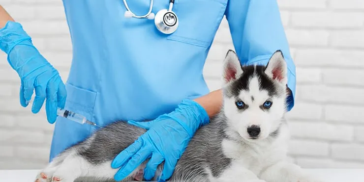 Imagen cabecera post