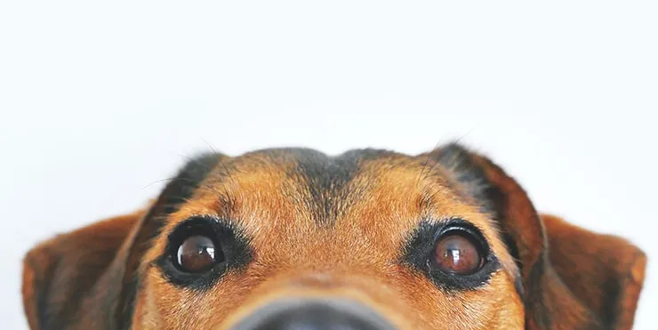 Imagen cabecera post