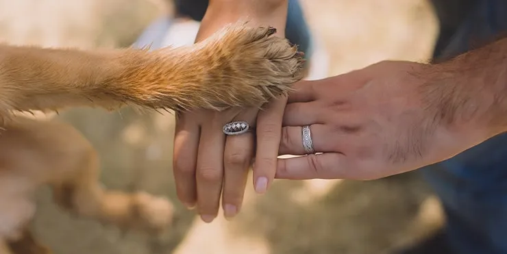 Imagen cabecera post