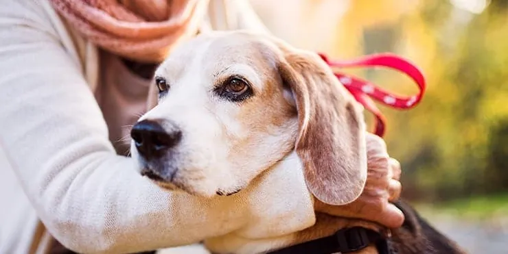 Imagen cabecera post